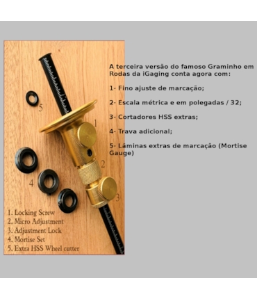 iGAGING - GRAMINHO EM RODAS -  3ª GERAÇÃO - 34-711